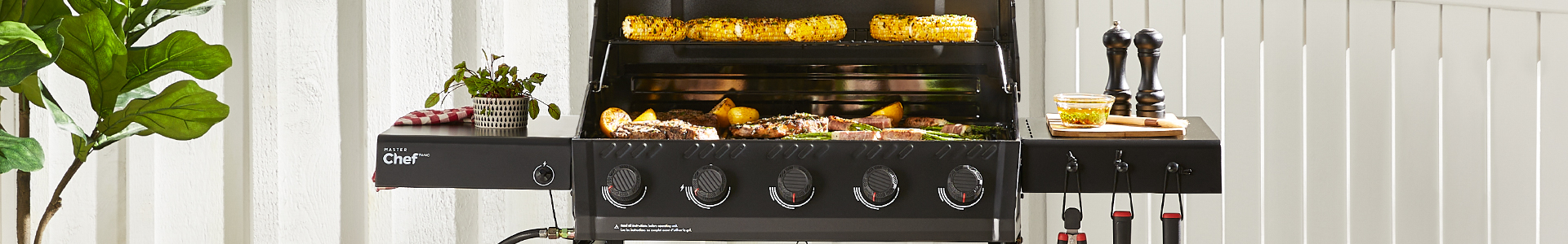 Gas Grill