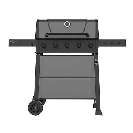 Discover 5-Burner Propane Barbecue