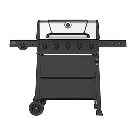 Discover 5-Burner Stainless Steel Propane Barbecue